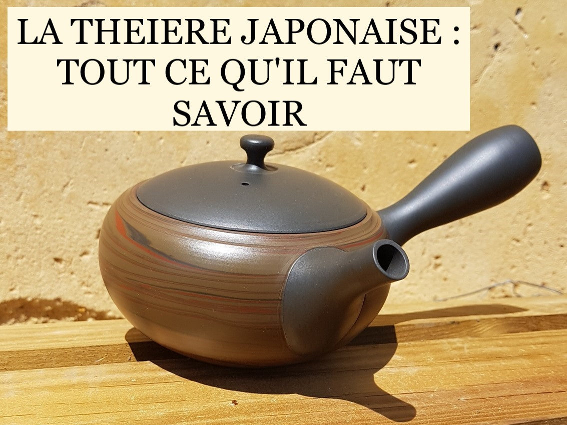 Théières Théières en fer de style japonais bouilloire à thé