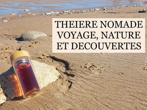 Théière Nomade : Voyages, Nature et Découvertes