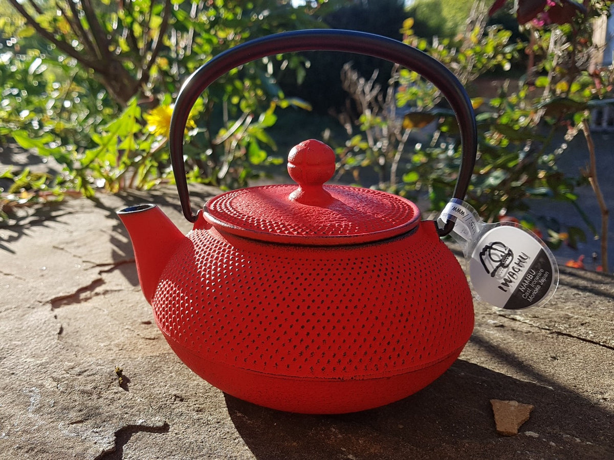 Théière en Fonte Japonaise | Theieres Du Monde