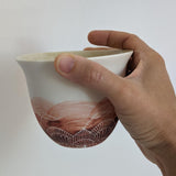 Bol Fabrication Française <br> Porcelaine 450ml