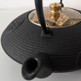 Théière en Fonte Oigen <br> Couvercle porcelaine 900ml