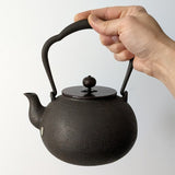 Bouilloire en Fonte Chinoise