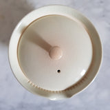 Théière Japonaise <br> Shiboridashi Porcelaine 170ml