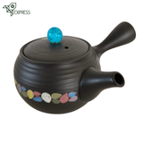 Théière Japonaise <br> Kyusu Tokoname 270ml