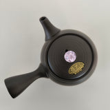 Théière Japonaise <br> Kyusu Tokoname 270ml