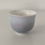 Service à Thé Porcelaine Chinoise <br> Jingdezhen 140 à 200ml