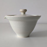 Théière Japonaise pour Thé Vert