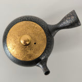 Théière Japonaise <br> Tenmoku Kyusu Tokoname 180-260ml