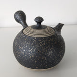 Théière Japonaise Artisanale Tokoname <br> Fujita Tokuta 250-370ml