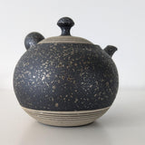 Théière Japonaise Artisanale Tokoname <br> Fujita Tokuta 250-370ml