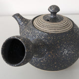 Théière Japonaise Artisanale Tokoname <br> Fujita Tokuta 250-370ml
