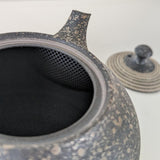 Théière Japonaise Artisanale Tokoname <br> Fujita Tokuta 250-370ml