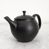 Théière Japonaise Artisanale