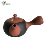 Théière en Argile du Japon <br> Tokoname 210ml