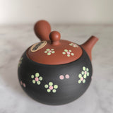 Théière en Argile du Japon <br> Tokoname 210ml