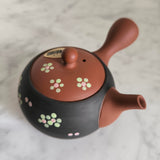 Théière en Argile du Japon <br> Tokoname 210ml