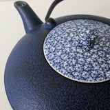 Théière en Fonte Japonaise Bleue <br> Oigen 900ml