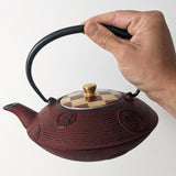 Théière Japonaise en Fonte Rouge