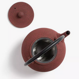 Théière en Fonte japonaise avec Filtre