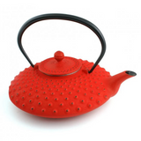 Théière en Fonte Iwachu <br> Kambin 800ml