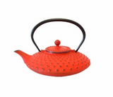 Théière en Fonte Iwachu <br> Kambin 800ml