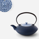 Théière en Fonte Japonaise Bleue <br> Oigen 900ml