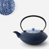 Théière en Fonte Japonaise Bleue <br> Oigen 900ml