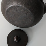Théière en Fonte Tetsubin <br> Vague 1,2L