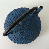 Théière en Fonte Japonaise Bleue