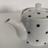 Théière du Japon en Porcelaine <br> Mizutama 450ml