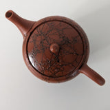 Théière Japonaise Thé Vert <br> Tokoname 140ml