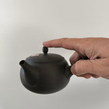 Théière Japonaise <br> Poterie Tokoname 350ml