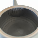 Théière Japonaise <br> Poterie Tokoname 350ml