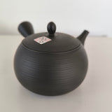 Théière Japonaise <br> Poterie Tokoname 350ml