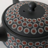 Théière de Potier Japonais <br> Tokoname 250-360ml