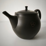 Théière Artisanale Made In Japan <br> Hokuryū 360-500ml