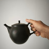 Théière Artisanale Made In Japan <br> Hokuryū 360-500ml
