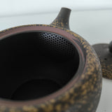 Théière en Terre Cuite Japonaise <br> Tokoname 370ml