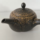 Théière en Terre Cuite Japonaise <br> Tokoname 370ml