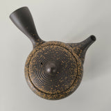 Théière en Terre Cuite Japonaise <br> Tokoname 370ml
