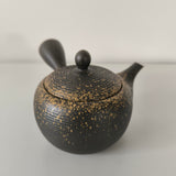 Théière en Terre Cuite Japonaise <br> Tokoname 370ml