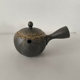 Théière en Terre Cuite Japonaise <br> Tokoname 370ml
