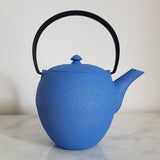 Théière en Fonte Japonaise Bleue