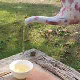 Théière en Porcelaine <br> Design 500ml