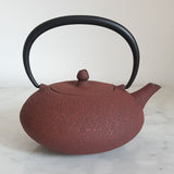 Théière en Fonte Japonaise Rouge