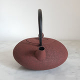 Théière en Fonte Moderne
