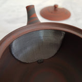 Théière du Japon <br> Tokoname 250ml