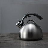 Bouilloire Sifflante Induction