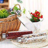 Gourde en verre <br> avec ou sans filtre 550ml