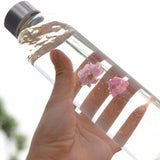 Gourde en verre <br> avec ou sans filtre 550ml